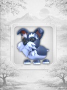 Mini Schnauzer Adopt Me