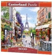 Puzzle Castorland Hobby 3000 elementów Puzzle 3000 Flowering Paris 300525