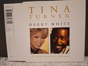 Tina Turner feat. Barry White – In Your Wildest Dreams 