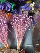 len lila zboże suszone naturalny w wiązkach 