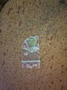 1,2,5,10,20 gr rocznik 2004 r komplet 5 monet