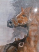 Koń na płótnie akryl