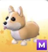 Corgi M / Mega Roblox Adopt me