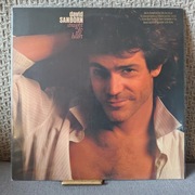 David Sanborn - Straight To The Heart