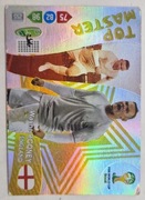 PANINI FIFA WORLD CUP 2014 WAYNE ROONEY TOP MASTER