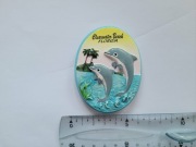 Magnes na lodówkę - 188g. FLORYDA Clearvater Beach DELFINY
