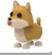 Shiba Adopt me Roblox