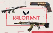 Konto valorant ze skinami| gotowe do rankedow