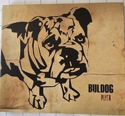 Buldog Płyt KULT KAZIK
