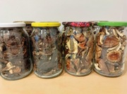 Podgrzybek grzyby suszone