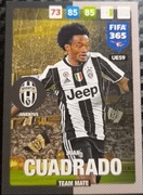 PANINI UPDATE 2017 FIFA 365 TEAM MATE JUVENTUS CUADRADO UE59