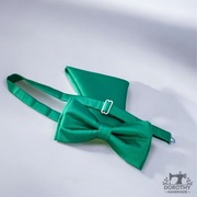 Zestaw zielona mucha męska z poszetką