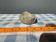 Doniczka Bonsai 5,5x9x9 cm, nietypowa