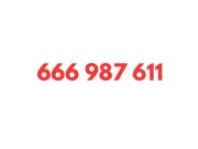 666 987 611 STARTER T-MOBILE KARTA SIM UNIKATOWY ZŁOTY PROSTY ŁATWY NUMER