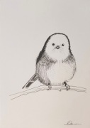 Obrazek Grafika Rysunek ranniuszek