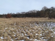 Działki z WZ nad jeziorem w otulinie Drawieńskiego Parku Narodowego