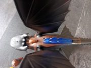 playmobil Jak wytresować smoka szczerbatek czkawka zestaw 9246