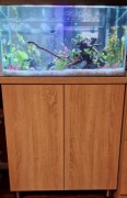 Akwarium 100 l pełne wypsażenie + szafka