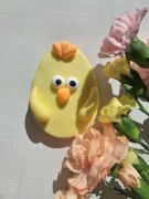 Kurczak - ciasteczko dla konia