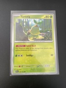 Turtwig 010/162 Temporal Forces Pokemon TCG