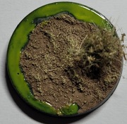 5 x 25mm podstawki  "Bagno Nurgle'a" 40k/AoS