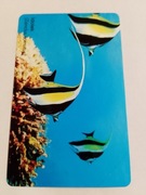 84K Podwodny Świat-Idolek