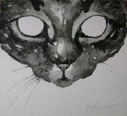 "KOOT" KOT kotek 23x25cm tusz karton 2015