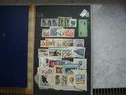 Fi Zestaw 5 - różne luzaki (kasowane)