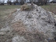 Oddam piach i ziemię za darmo