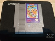 Duck tales nes ntsc USA