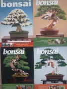 BONSAI  CZESKIE WYDANIE 4 SZT