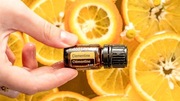 Olejek eteryczny CLEMENTINE klementynka doTERRA 5ml