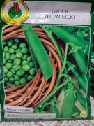 Groch cukrowy 'Iłówiecki'