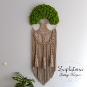 Drzewo makrama mech chrobotek