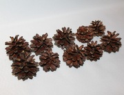 10x szyszki sosnowe do dekoracji stroika na Boże Narodzenie