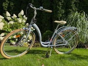 Rower LEGRAND Lille 2