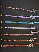 obroża i smycz-zestaw dla psa szczeniak wyprawka