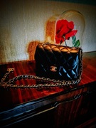 Ekskluzywna torebka damska