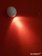 Kinkiet ścienny KULKA KULA 1x50W LINEA LIGHT 6614 BIAŁA