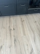 Barlinek nextstep dąb piaskowy