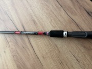 Daiwa Tournament SLR 12 FT 120 g 