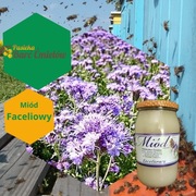  Miód Faceliowy z pasieki Barć Ćmielów