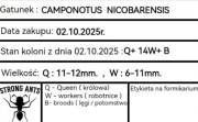 Etykieta na formikarium lub terrarium ,personalizowana  NOWA