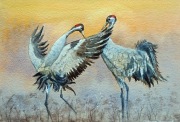 Żurawie - akwarela