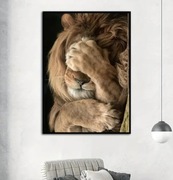 Obraz na płótnie. Lew 50x70