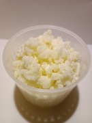 Grzybek tybetański kefir 10 gram
