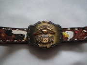 Pasek Harley Davidson