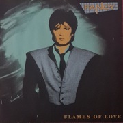 FANCY  -  FLAMES OF LOVE     LP
