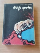 Dzieje grzechu - Stefan Żeromski