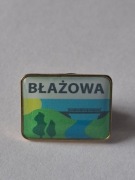 Herb logo miasta Błażowa przypinka pin odznaka wpinka